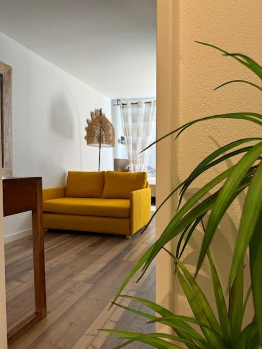 Апартаменты Petite Maison De Plage Кошта-да-Капарика Экстерьер фото